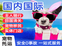 南宁机场快递国际宠物托运 【国